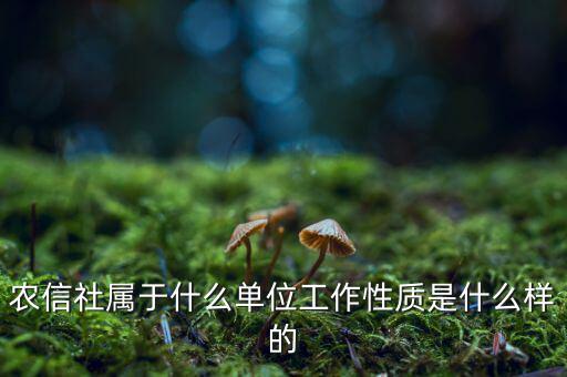 農(nóng)信社屬于什么單位工作性質是什么樣的