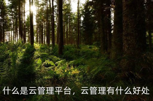 什么是云管理平臺，云管理有什么好處