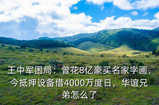 王中軍困局：曾花8億豪買名家字畫，今抵押設備借4000萬度日，華誼兄弟怎么了