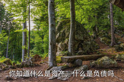 你知道什么是資產(chǎn)，什么是負債嗎