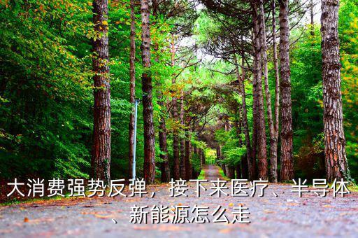 大消費強勢反彈，接下來醫(yī)療、半導(dǎo)體、新能源怎么走