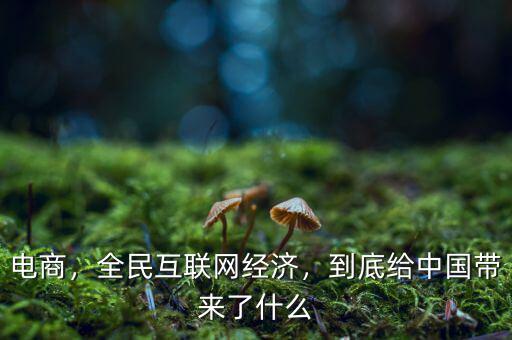 電商，全民互聯(lián)網(wǎng)經(jīng)濟(jì)，到底給中國(guó)帶來(lái)了什么