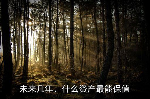 未來幾年，什么資產(chǎn)最能保值