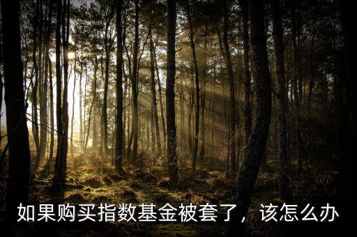 如果購(gòu)買指數(shù)基金被套了，該怎么辦