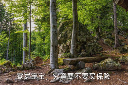 零歲寶寶，究竟要不要買保險