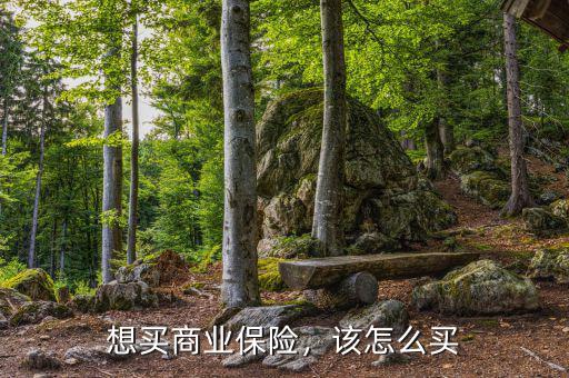 想買商業(yè)保險(xiǎn)，該怎么買