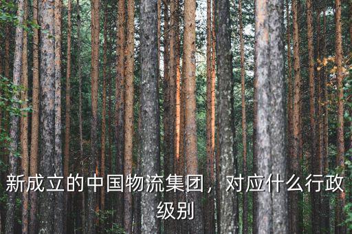 新成立的中國物流集團，對應什么行政級別