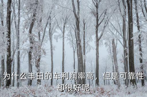 為什么豐田的車利潤率高，但是可靠性卻很好呢
