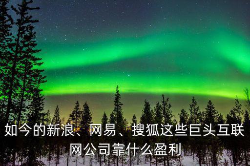 如今的新浪、網(wǎng)易、搜狐這些巨頭互聯(lián)網(wǎng)公司靠什么盈利