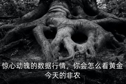 驚心動(dòng)魄的數(shù)據(jù)行情，你會(huì)怎么看黃金今天的非農(nóng)