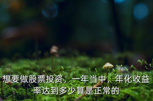 想要做股票投資，一年當(dāng)中，年化收益率達(dá)到多少算是正常的