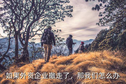 如果外資企業(yè)撤走了，那我們?cè)趺崔k