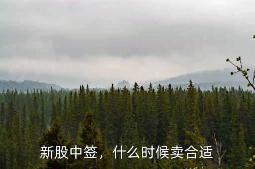 新股中簽，什么時(shí)候賣合適