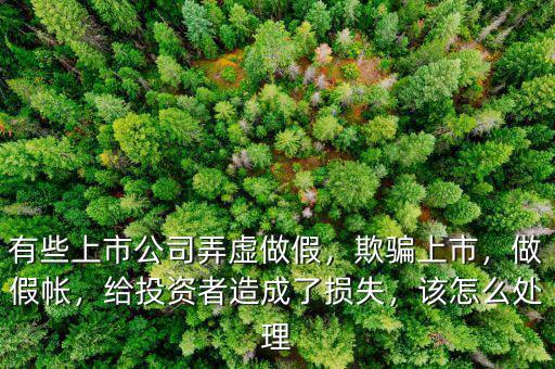 有些上市公司弄虛做假，欺騙上市，做假帳，給投資者造成了損失，該怎么處理