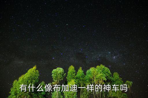 中國(guó)神車(chē)是什么車(chē),大眾的車(chē)被稱為神車(chē)
