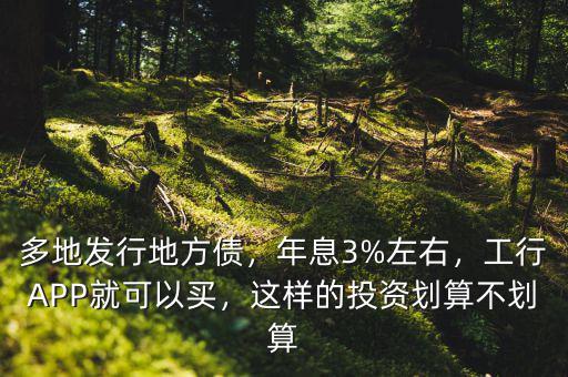 多地發(fā)行地方債，年息3%左右，工行APP就可以買，這樣的投資劃算不劃算