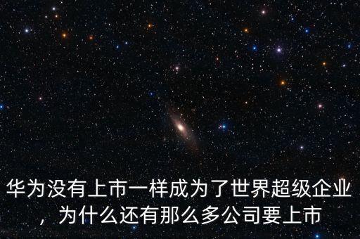 華為沒(méi)有上市一樣成為了世界超級(jí)企業(yè)，為什么還有那么多公司要上市