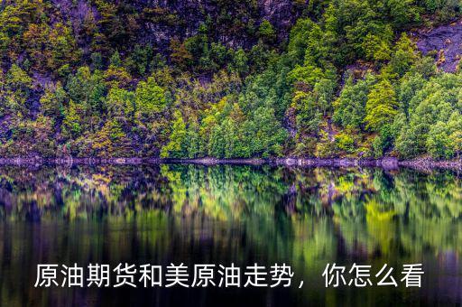 原油期貨和美原油走勢，你怎么看