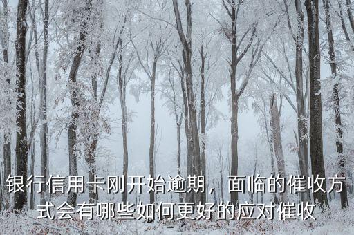 銀行信用卡剛開始逾期，面臨的催收方式會有哪些如何更好的應對催收