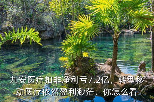 九安醫(yī)療扣非凈利虧7.2億，轉(zhuǎn)型移動醫(yī)療依然盈利渺茫，你怎么看