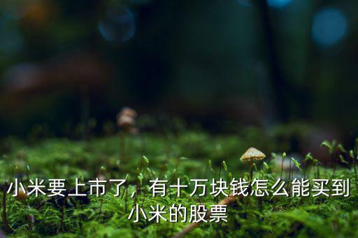 小米要上市了，有十萬塊錢怎么能買到小米的股票