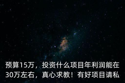 預(yù)算15萬，投資什么項(xiàng)目年利潤能在30萬左右，真心求教！有好項(xiàng)目請私