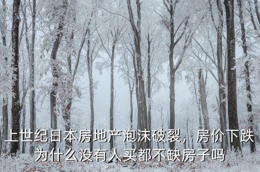 上世紀(jì)日本房地產(chǎn)泡沫破裂，房價下跌為什么沒有人買都不缺房子嗎