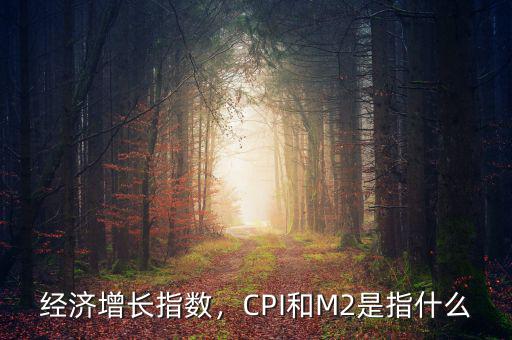 m2指數(shù)是什么,經濟增長指數(shù)