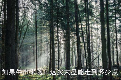 如果牛市來啦！這次大盤能走到多少點