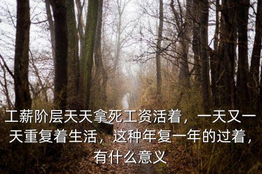 工薪階層天天拿死工資活著，一天又一天重復(fù)著生活，這種年復(fù)一年的過(guò)著，有什么意義
