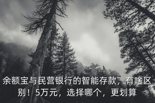 余額寶與民營(yíng)銀行的智能存款，有啥區(qū)別！5萬(wàn)元，選擇哪個(gè)，更劃算