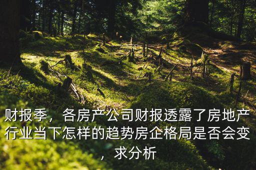 財報季，各房產(chǎn)公司財報透露了房地產(chǎn)行業(yè)當(dāng)下怎樣的趨勢房企格局是否會變，求分析
