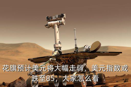 花旗預(yù)計美元將大幅走弱，美元指數(shù)或跌至85，大家怎么看
