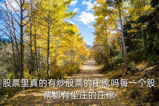 莊家坐莊需要多少股票賬戶(hù),每一個(gè)股票都有坐莊的莊家