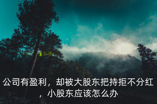 公司有盈利，卻被大股東把持拒不分紅，小股東應(yīng)該怎么辦