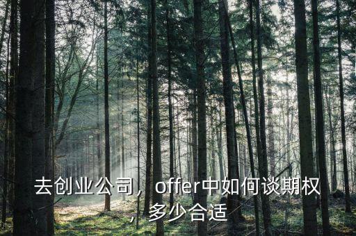 去創(chuàng)業(yè)公司，offer中如何談期權，多少合適