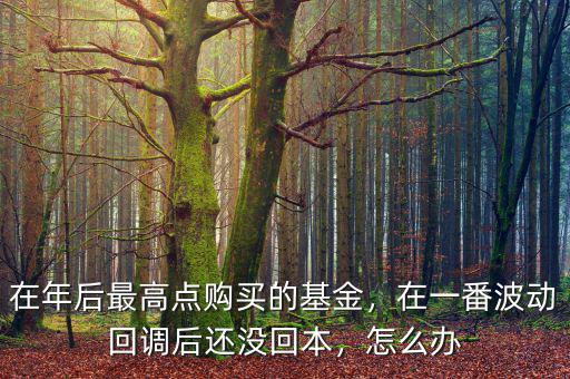 在年后最高點(diǎn)購(gòu)買的基金，在一番波動(dòng)回調(diào)后還沒回本，怎么辦