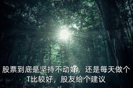 股票到底是堅持不動好，還是每天做個T比較好，股友給個建議