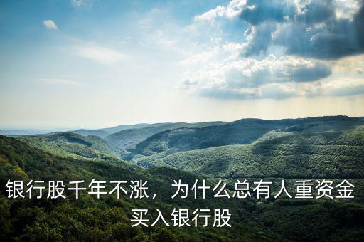 銀行股千年不漲，為什么總有人重資金買入銀行股