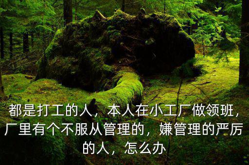 都是打工的人，本人在小工廠做領(lǐng)班，廠里有個(gè)不服從管理的，嫌管理的嚴(yán)厲的人，怎么辦