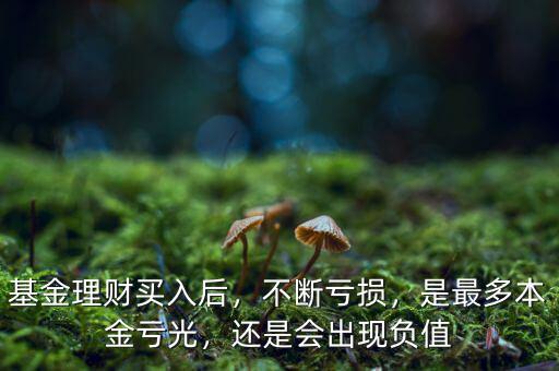 基金理財買入后，不斷虧損，是最多本金虧光，還是會出現(xiàn)負(fù)值