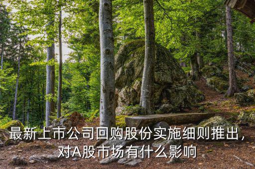 最新上市公司回購股份實(shí)施細(xì)則推出，對A股市場有什么影響