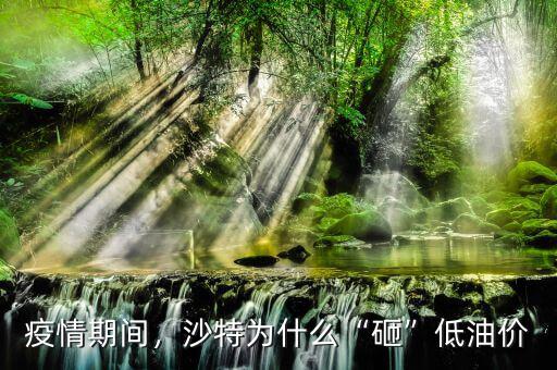 疫情期間，沙特為什么“砸”低油價(jià)