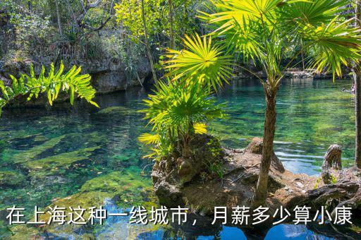 在上海這種一線城市，月薪多少算小康