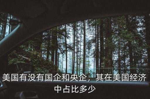 美國有沒有國企和央企，其在美國經(jīng)濟中占比多少