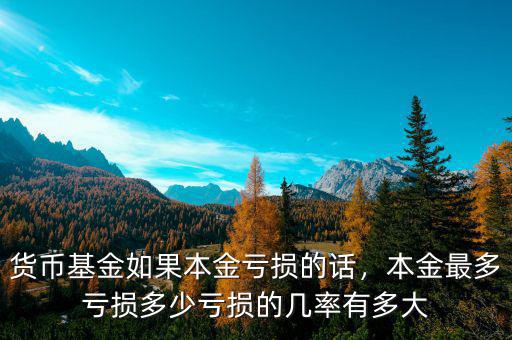 貨幣基金如果本金虧損的話，本金最多虧損多少虧損的幾率有多大