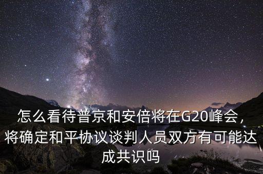 怎么看待普京和安倍將在G20峰會(huì)，將確定和平協(xié)議談判人員雙方有可能達(dá)成共識(shí)嗎