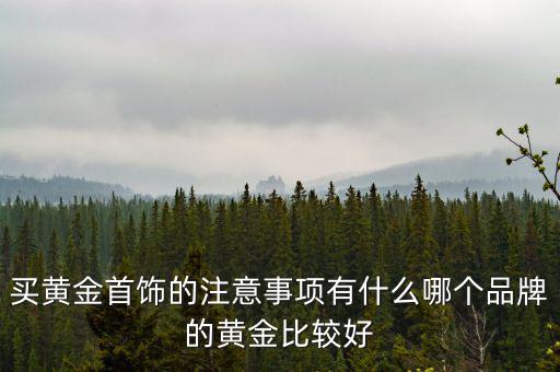 買黃金首飾的注意事項(xiàng)有什么哪個品牌的黃金比較好
