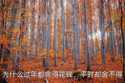 為什么過(guò)年都舍得花錢，平時(shí)卻舍不得