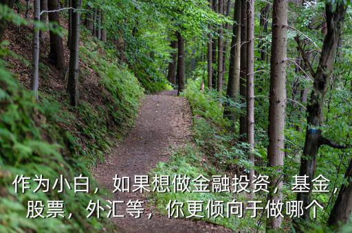 作為小白，如果想做金融投資，基金，股票，外匯等，你更傾向于做哪個